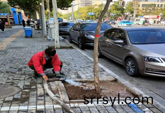 七(qi)裏(li)河(he)區(qu)園林綠化(hua)所全麵(mian)開展(zhan)鞦(qiu)季苗(miao)木(mu)補栽(zai)工(gong)作