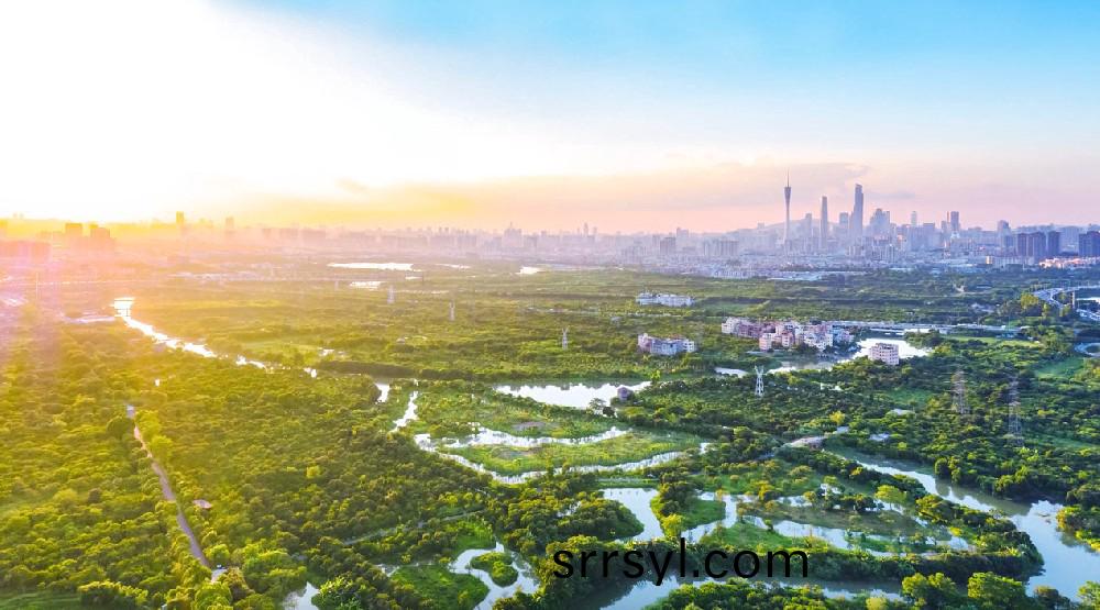 爲(wei)民(min)打(da)造(zao)城市綠洲